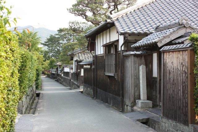 土塀と松の木が続く旧城下町の通り